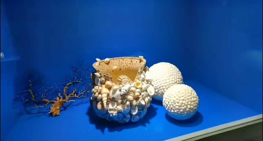 亚龙湾贝壳馆
