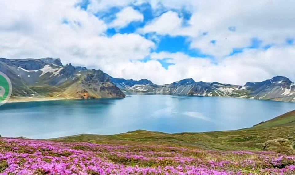 高山花园