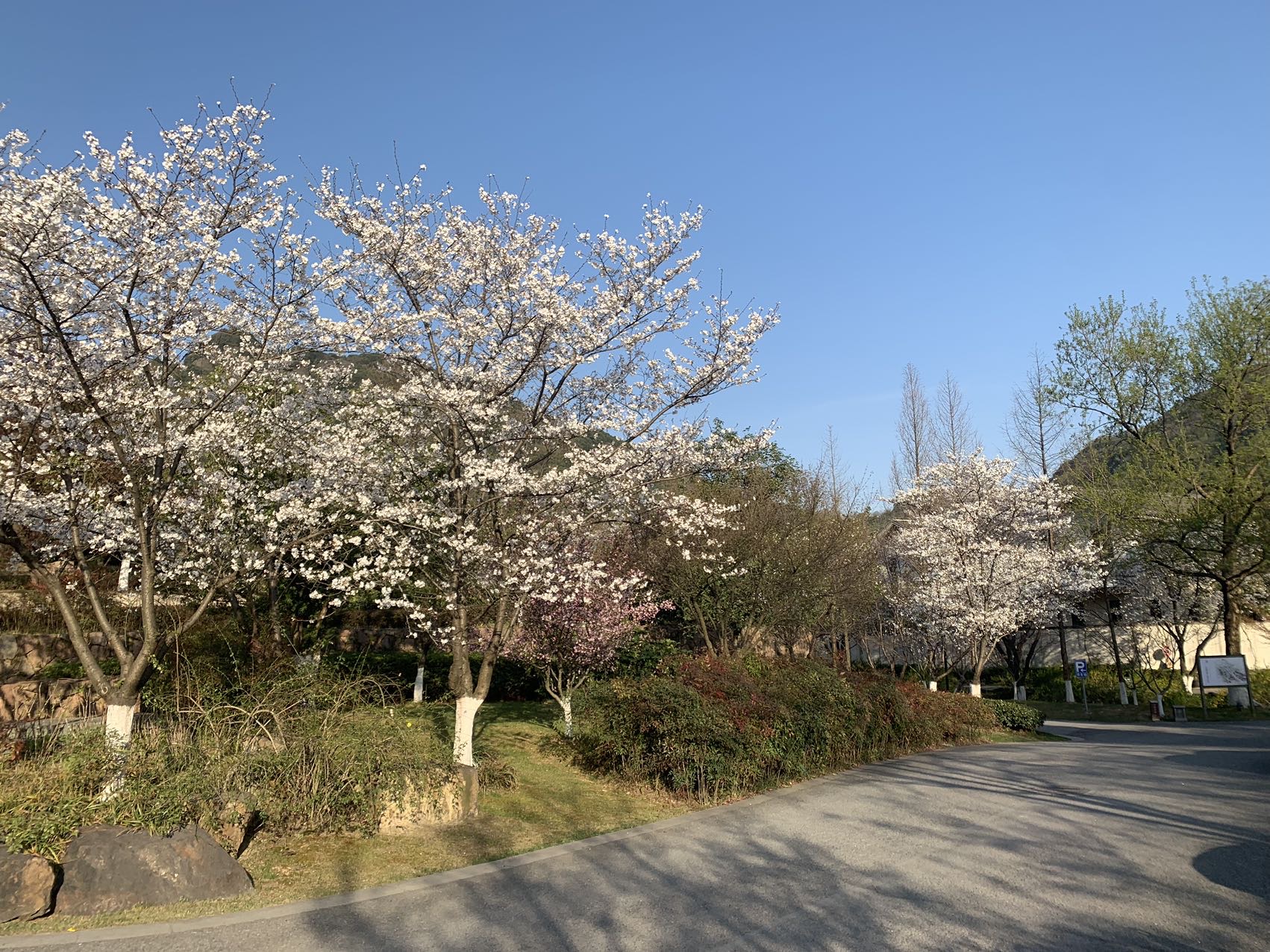 宛委山