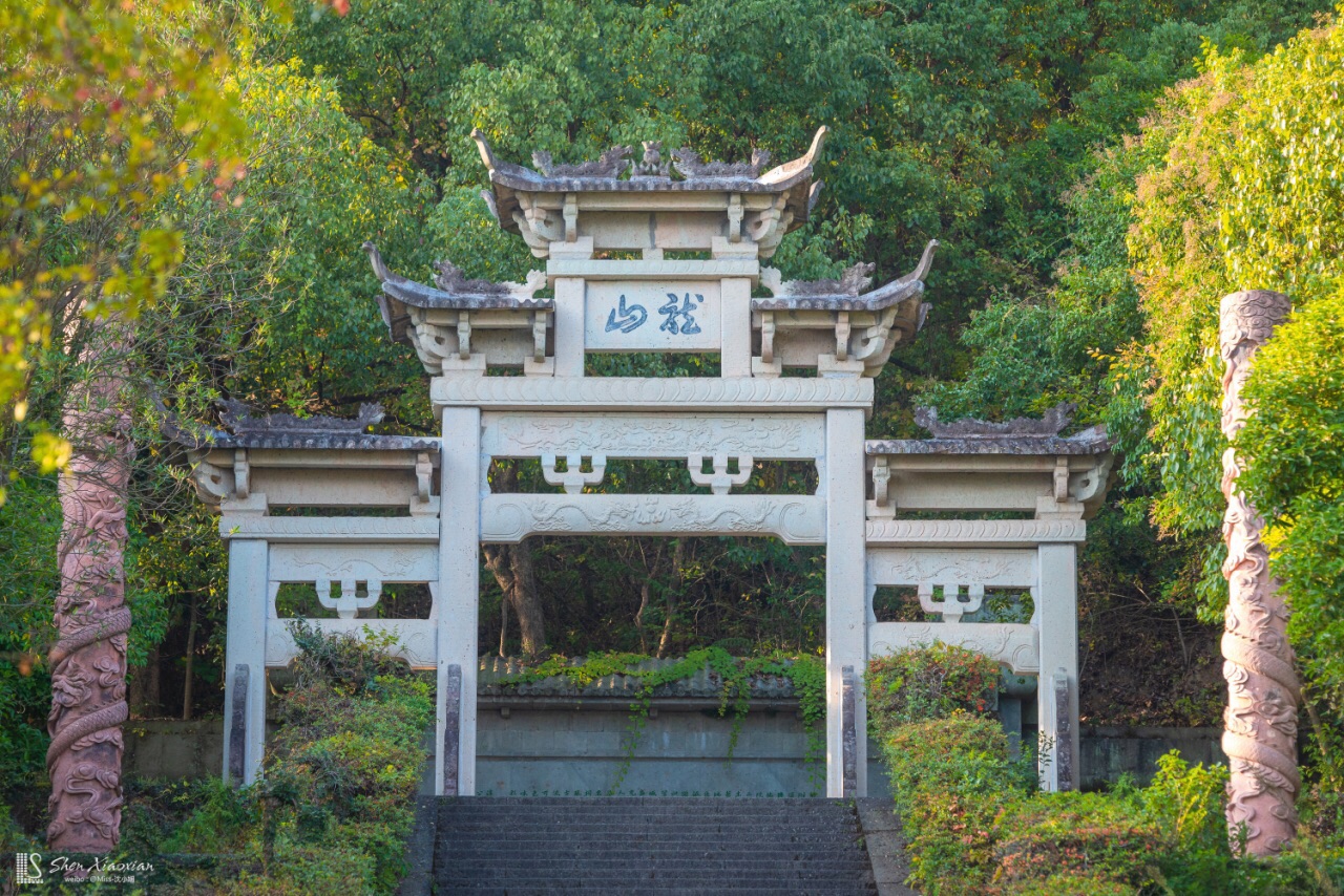 龙山岛