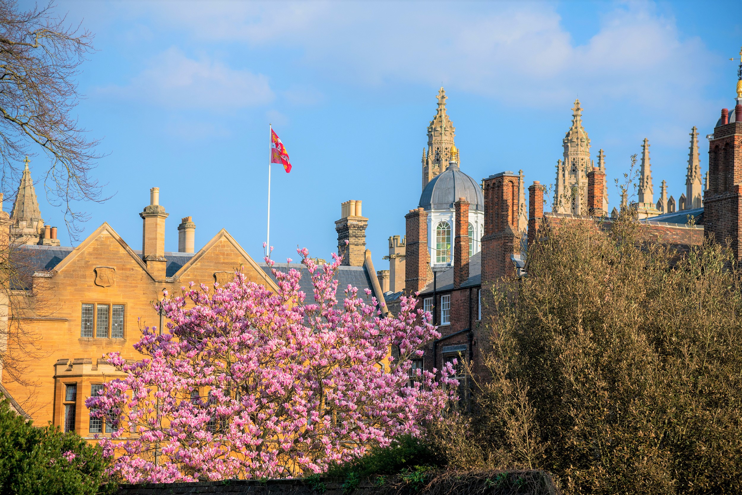 剑桥大学