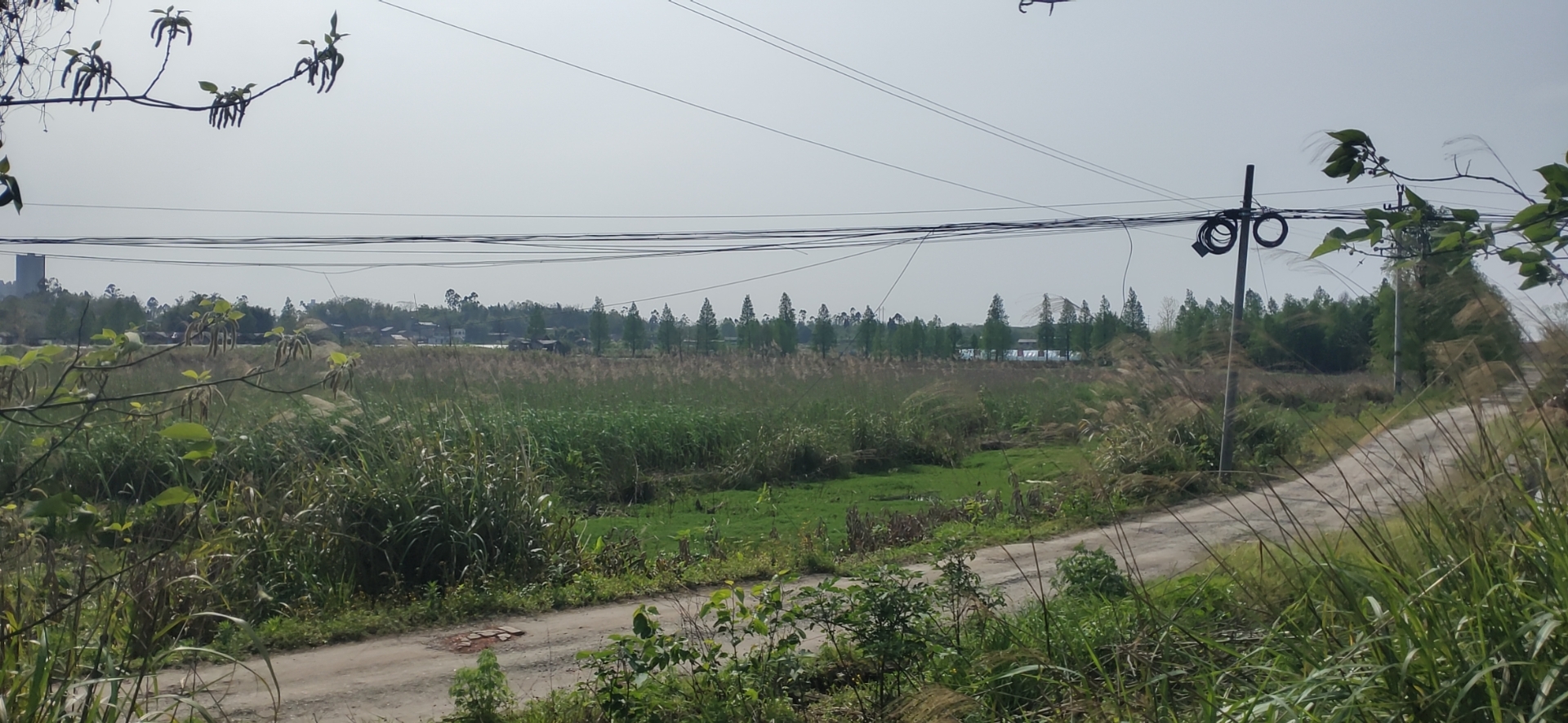 雅美佳湿地公园