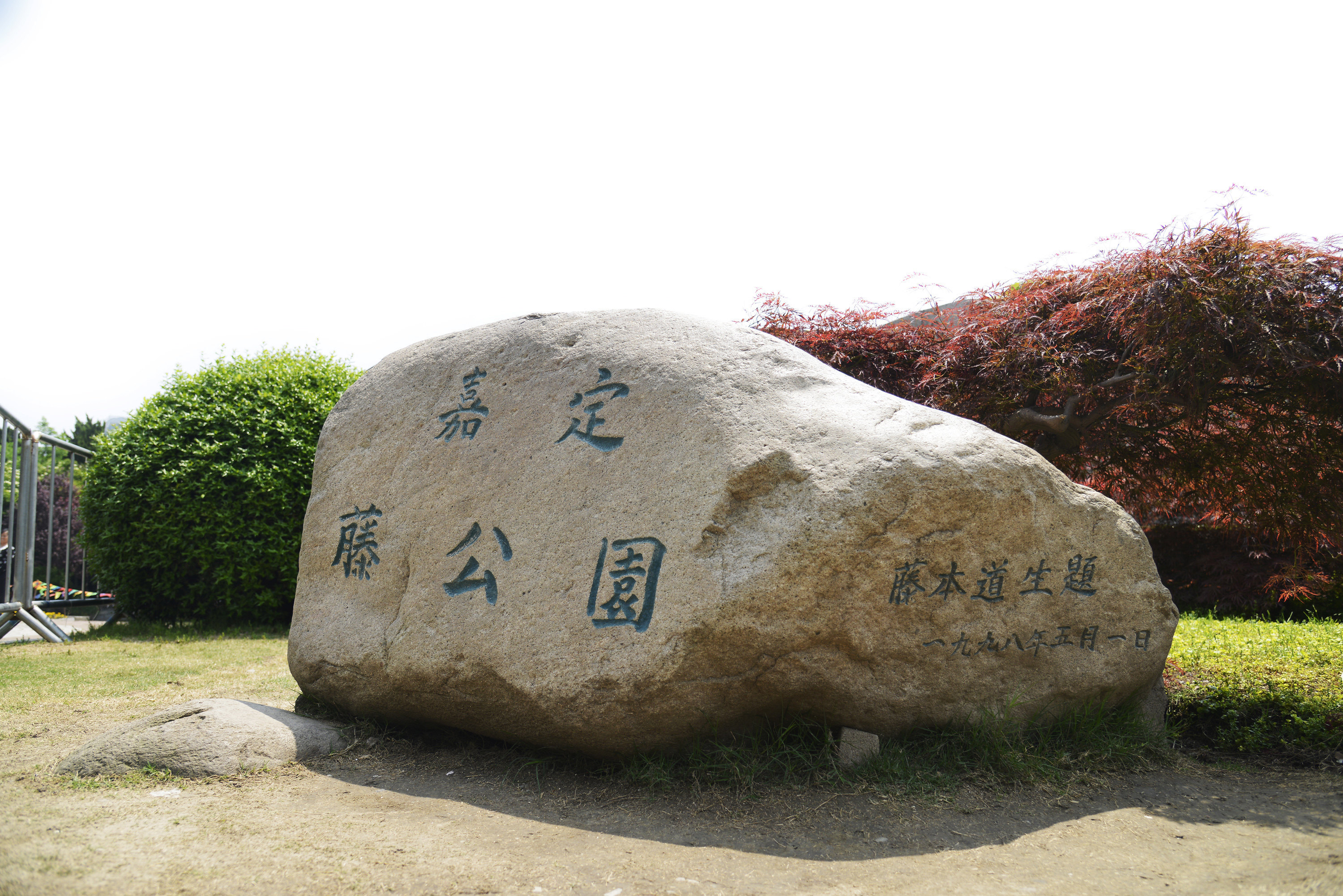 紫藤园