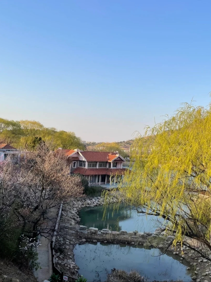青岛梅园