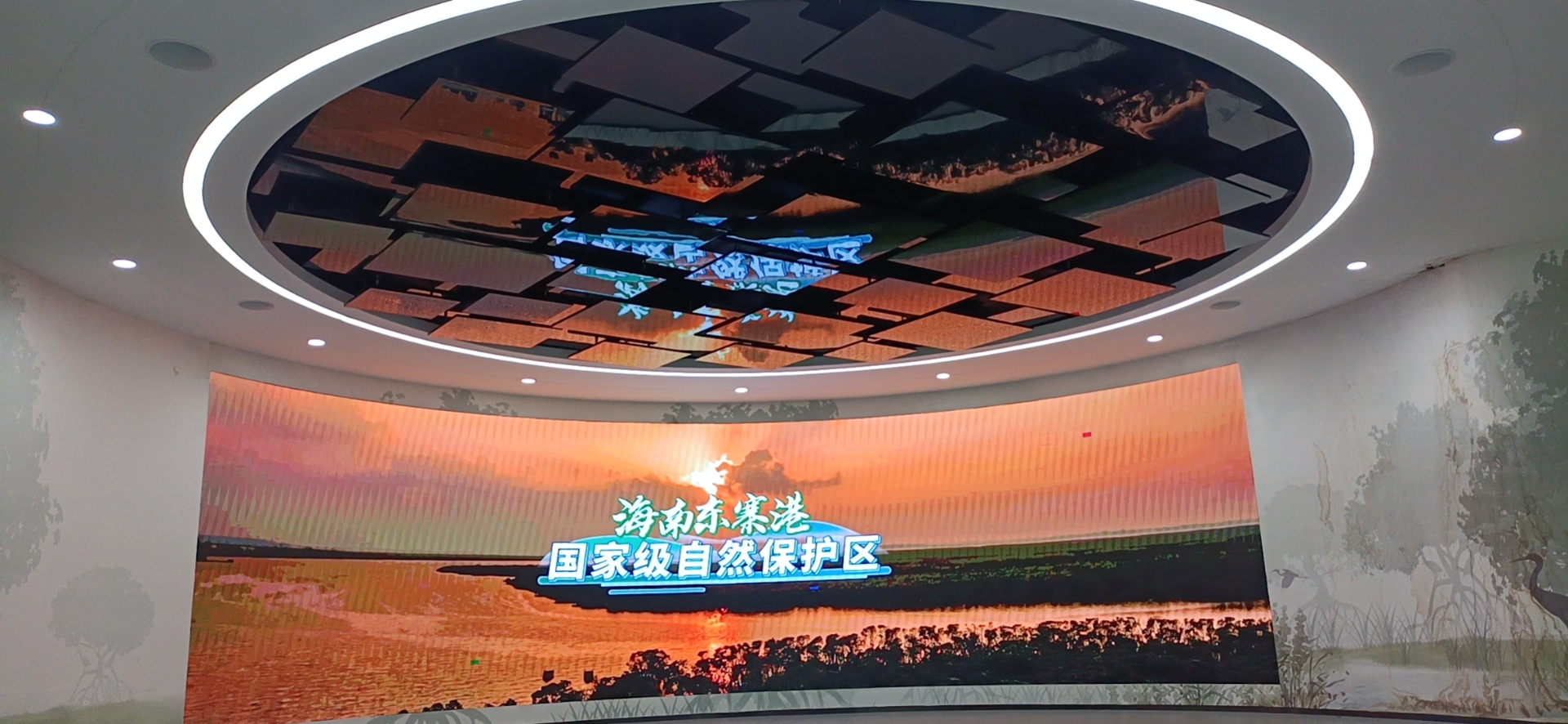 红树林博物馆