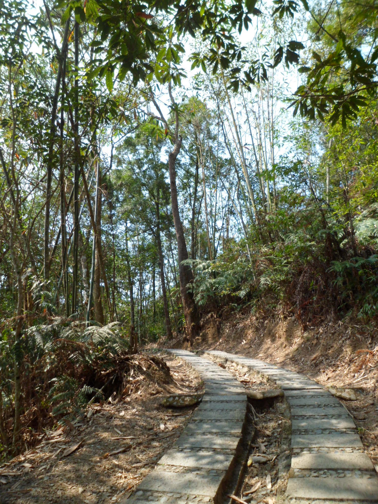 青龙山步道