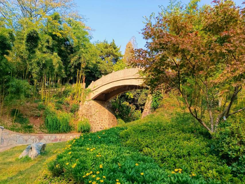 菊花台公园