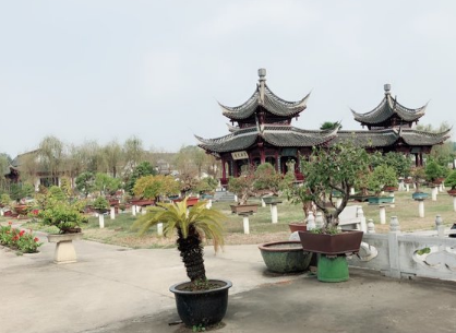 龙川盆景艺苑