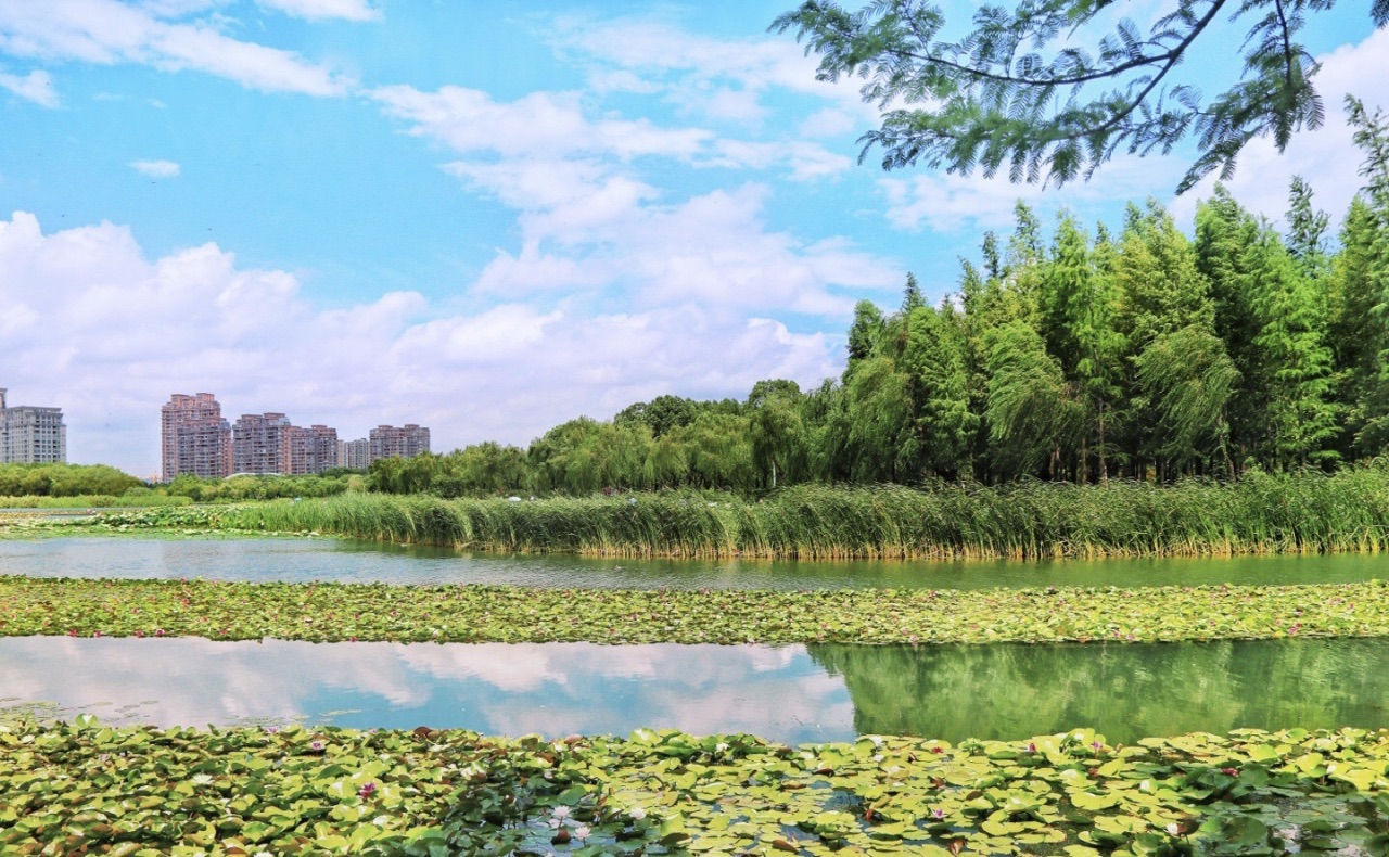 暨阳湖生态园区