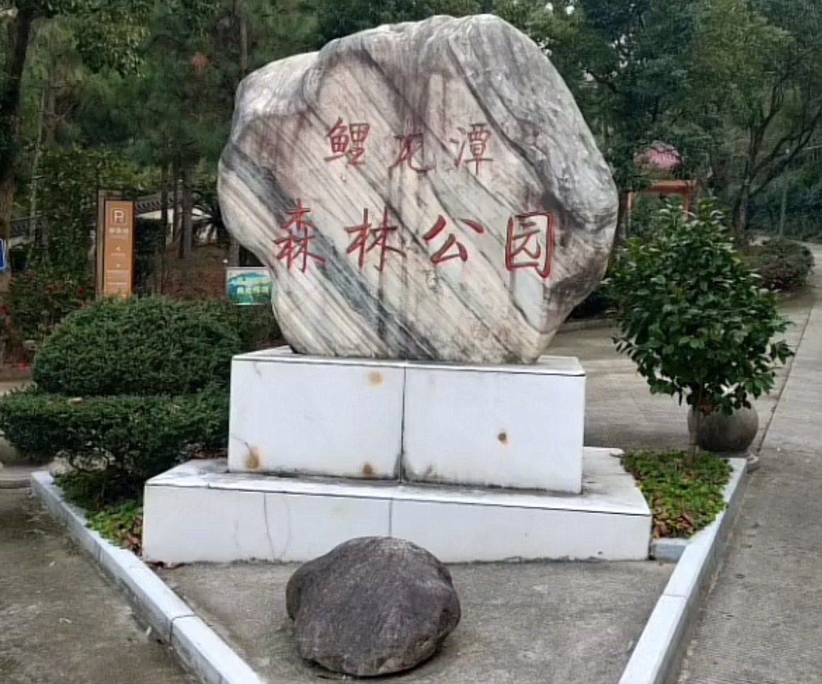 鲤龙潭森林公园