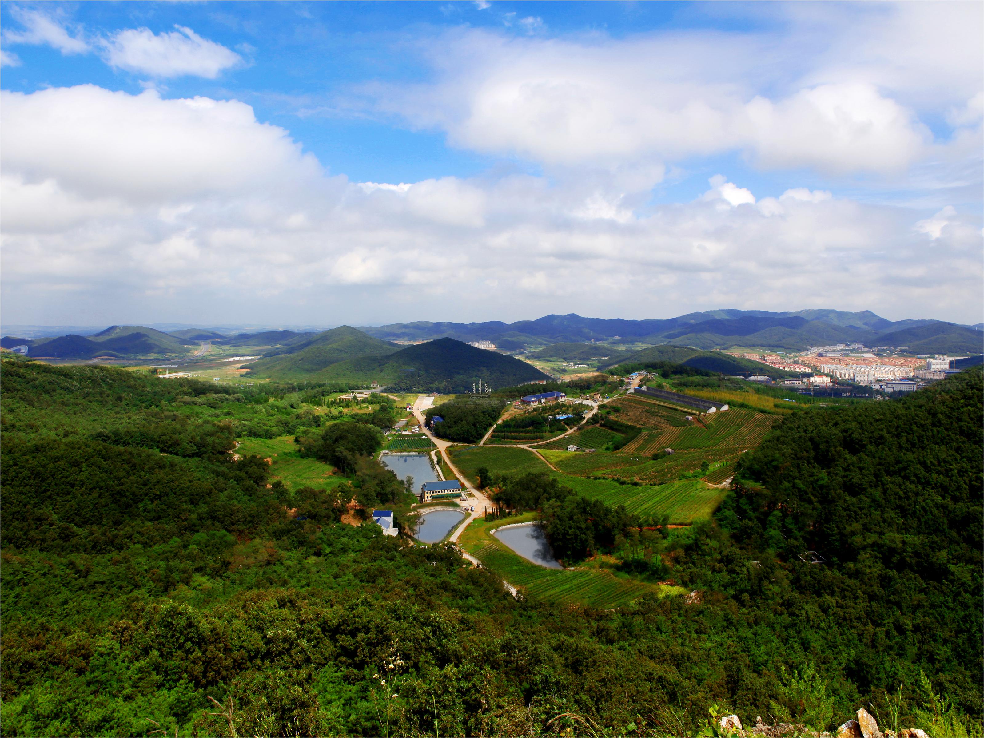 蓝莓谷庄园