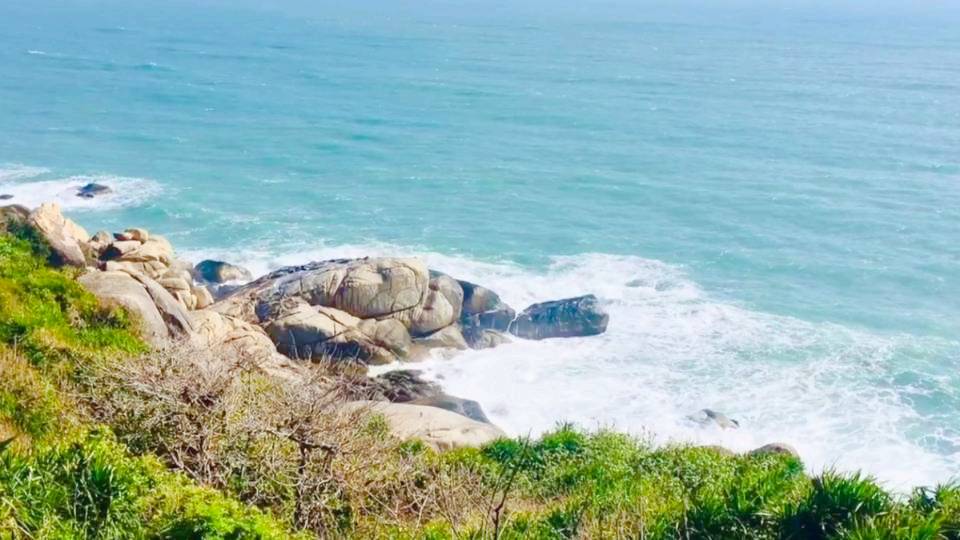 金龟探海