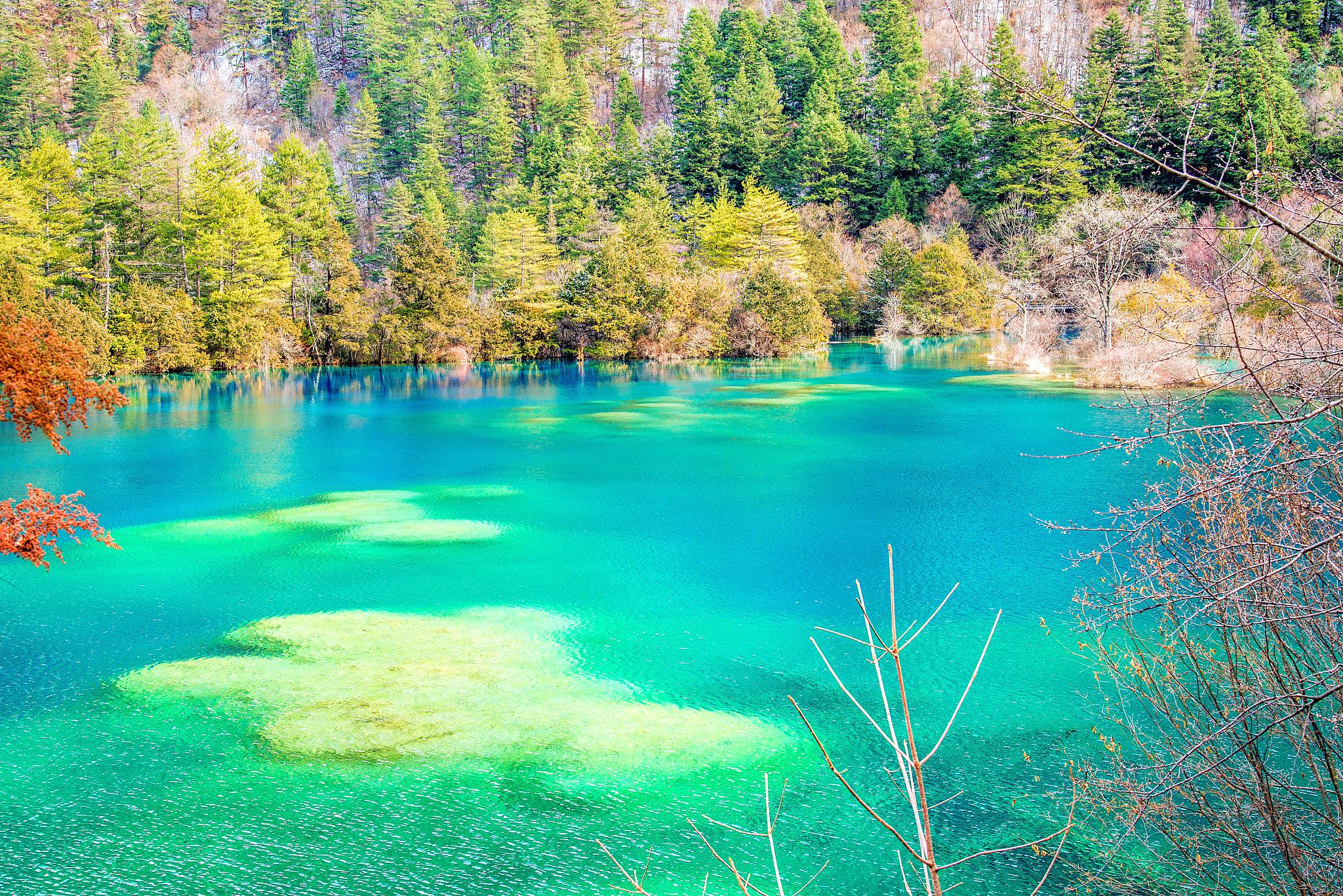 火花海