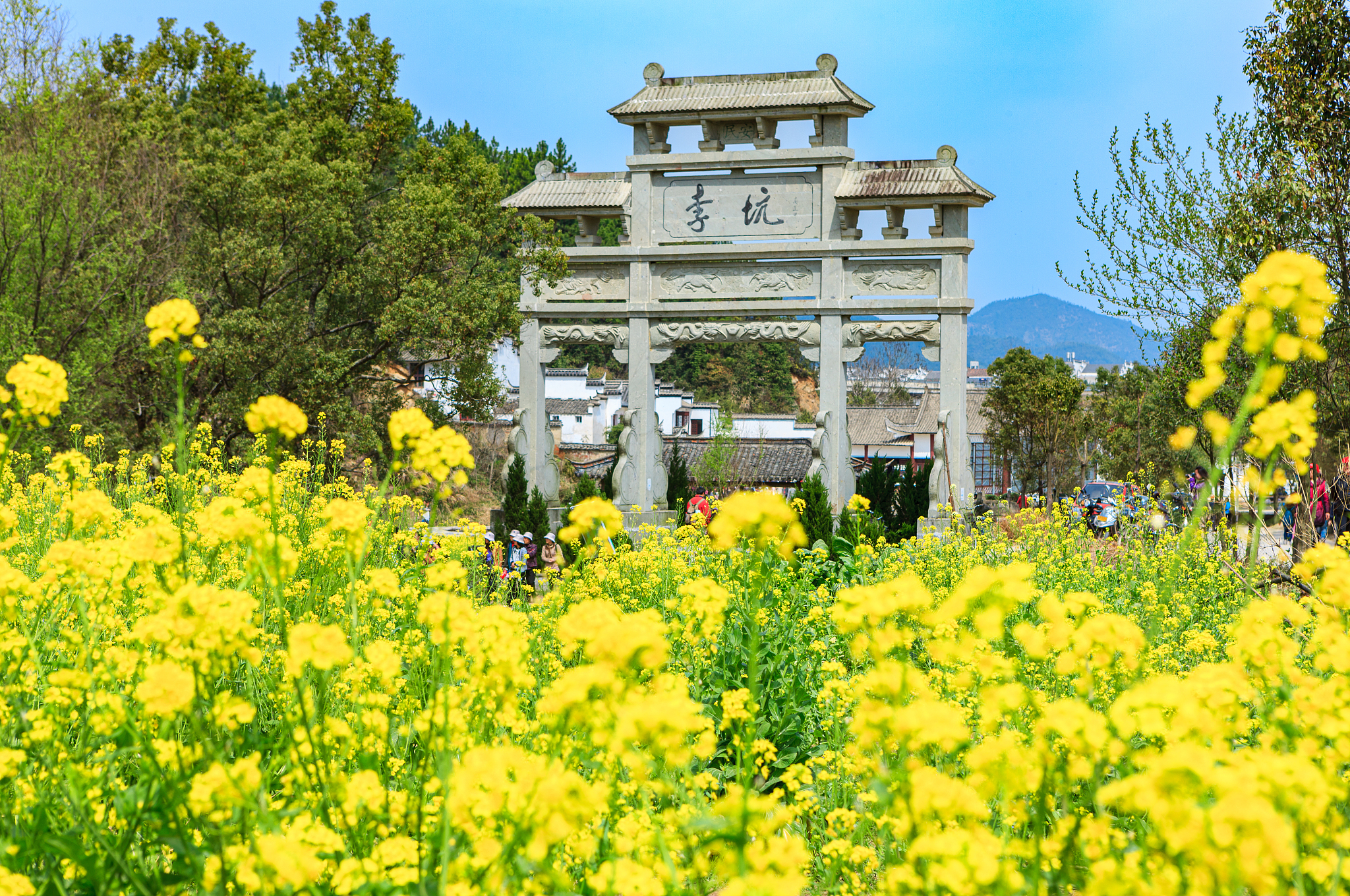 李坑
