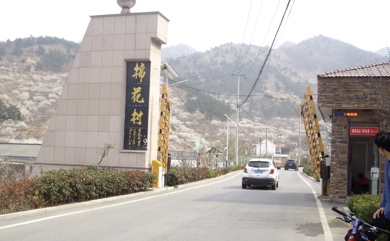 城阳棉花村
