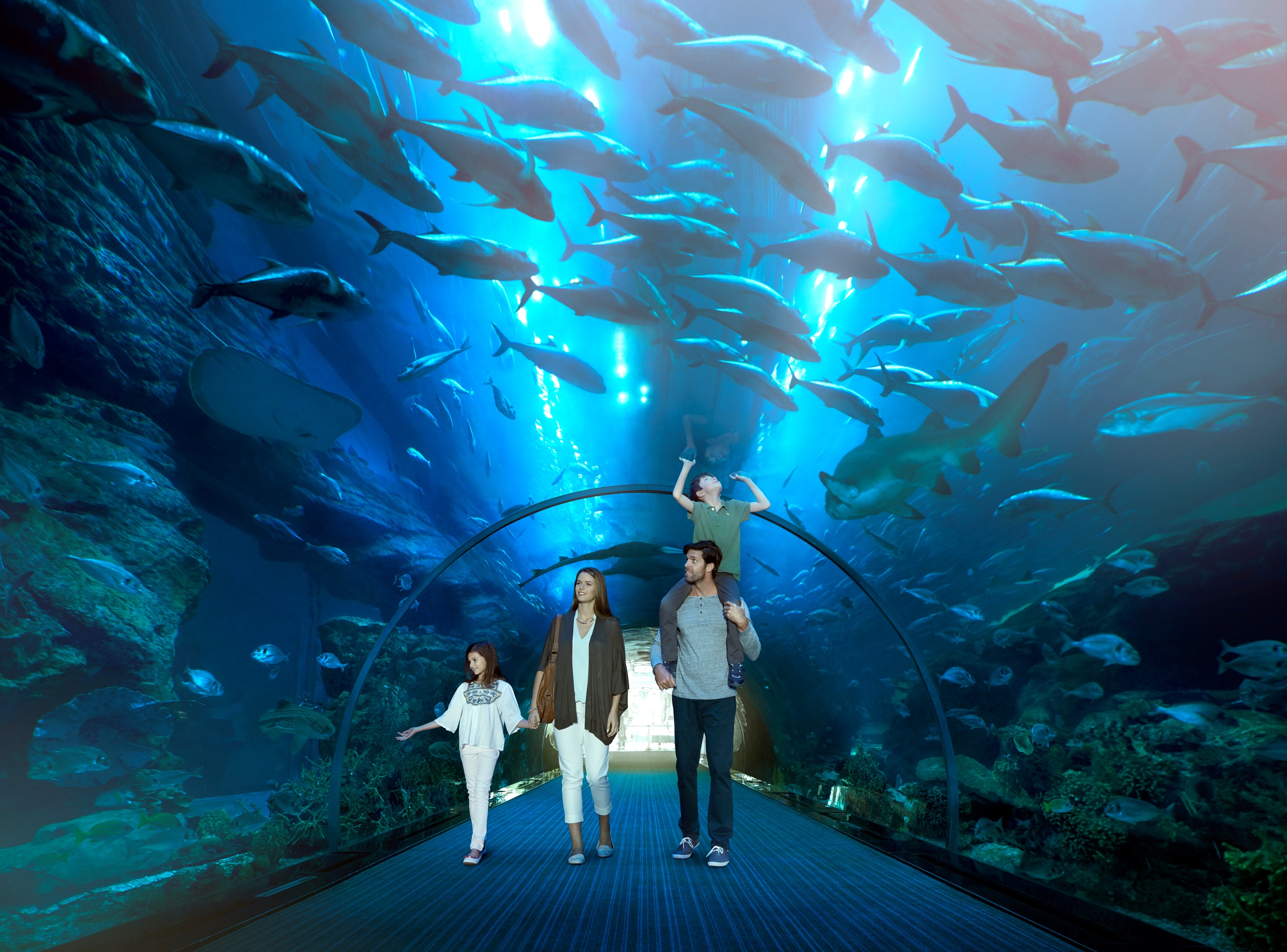 迪拜水族馆和水下动物园