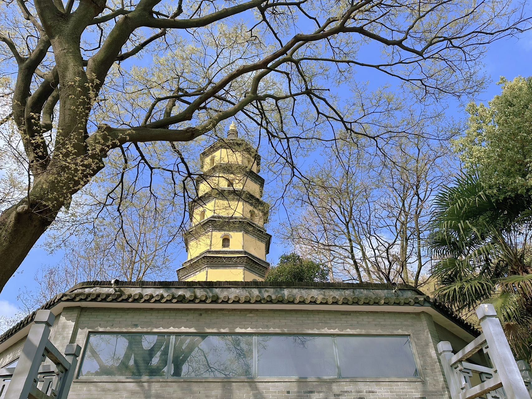 宝塔山森林公园