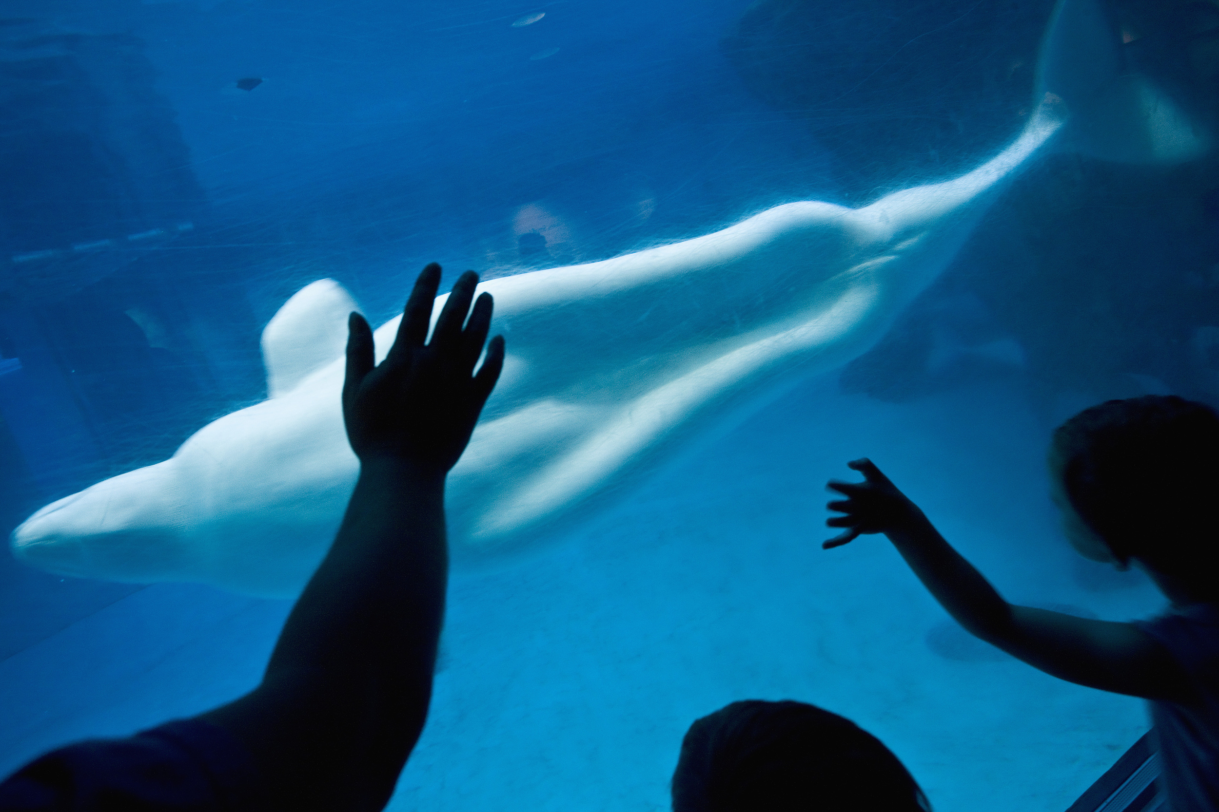 塞德水族馆