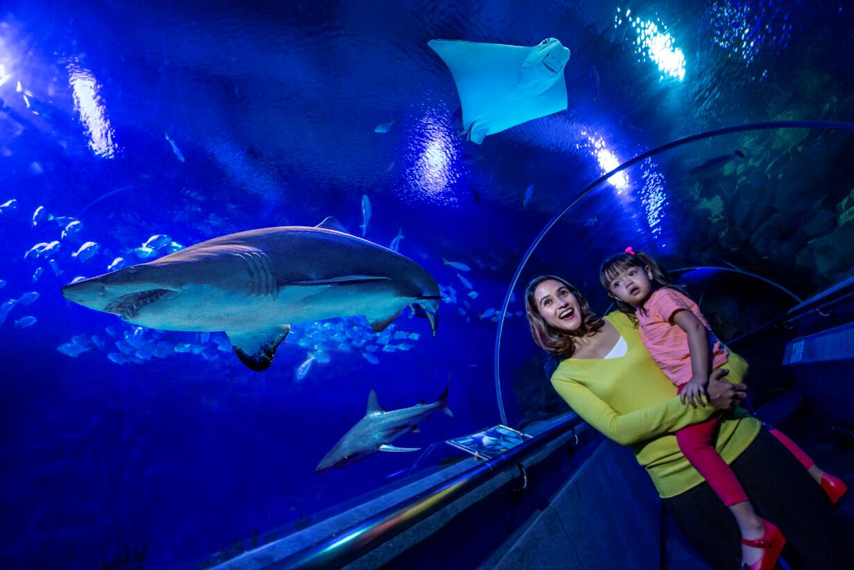 吉隆坡水族馆