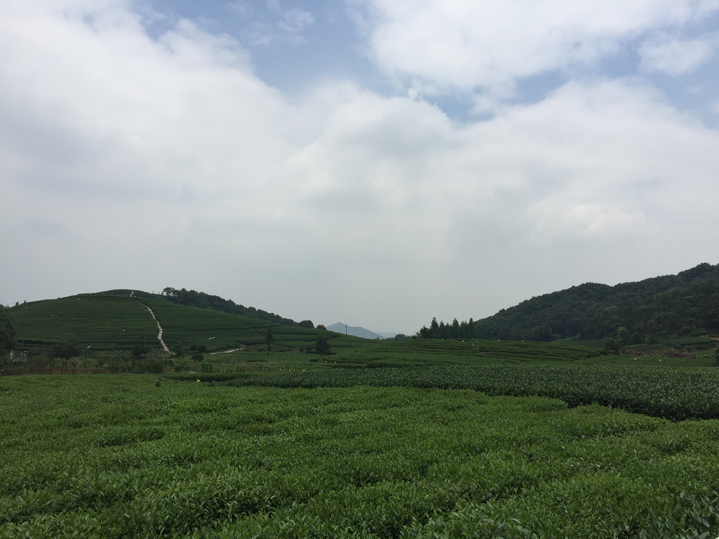杭州大清谷
