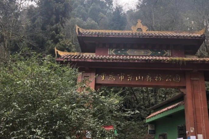 梁平东山森林公园