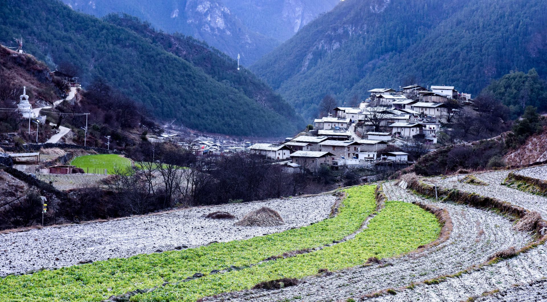 尼汝村