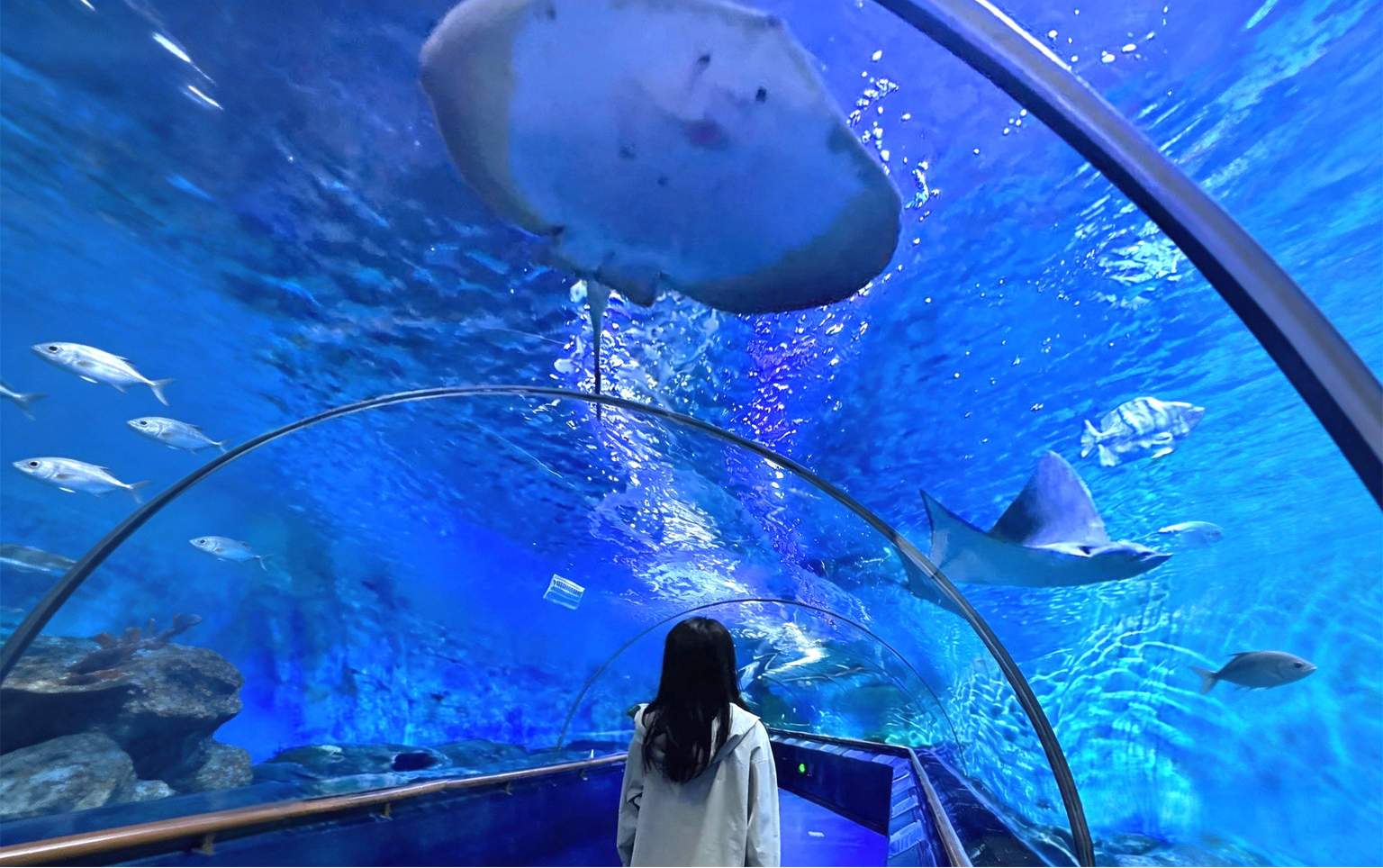 海底世界
