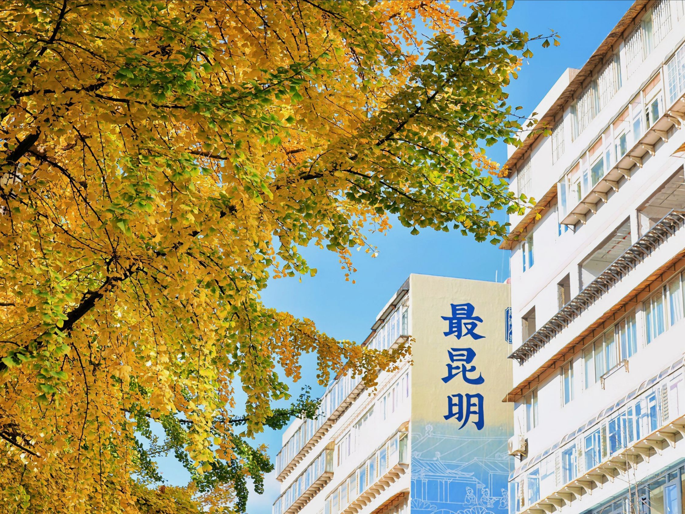 文林街