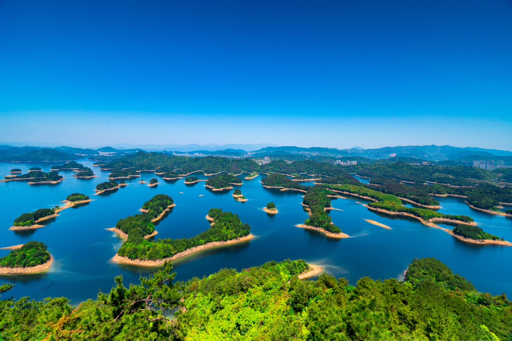 桂花岛