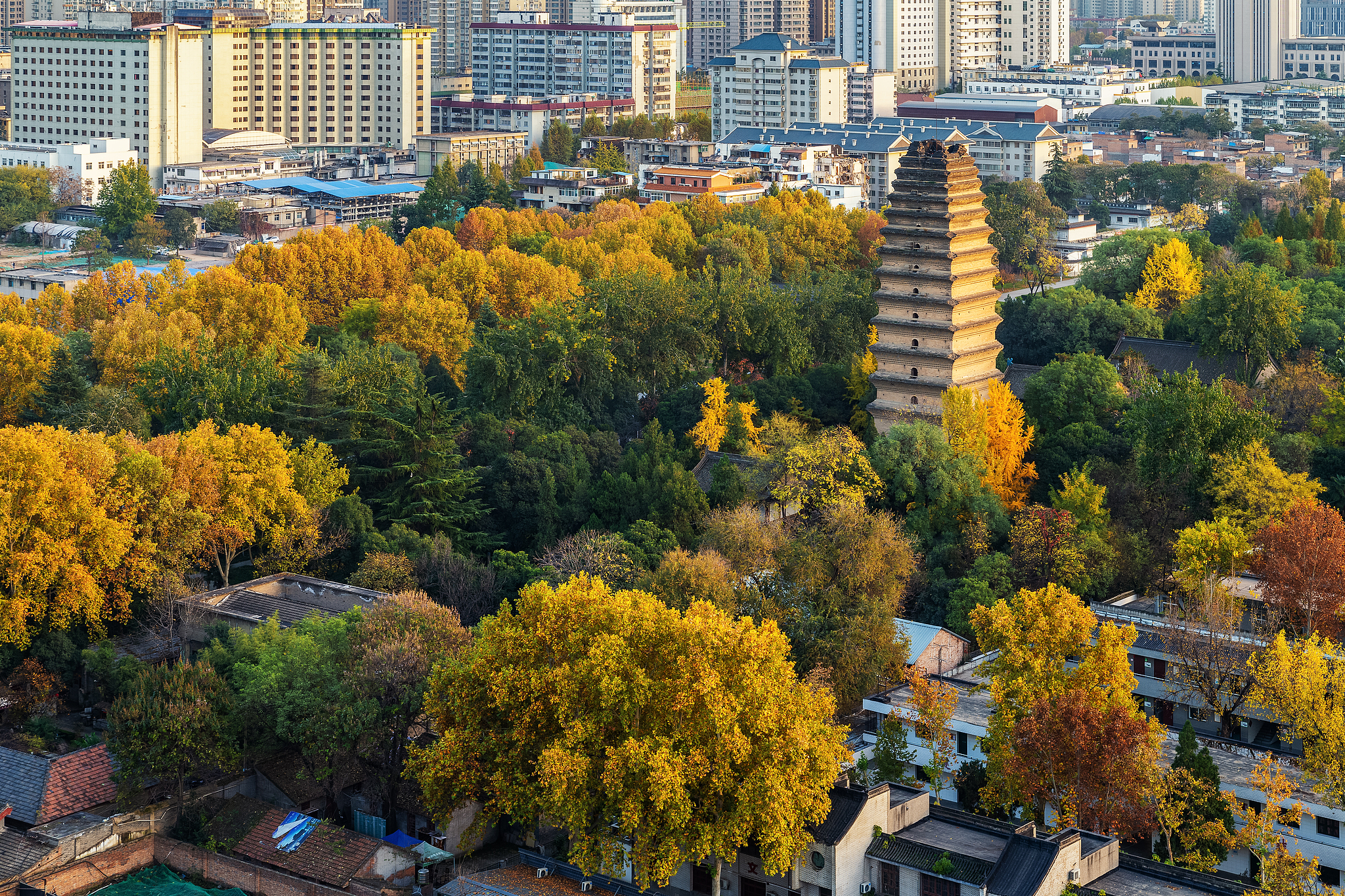 小雁塔(荐福寺)