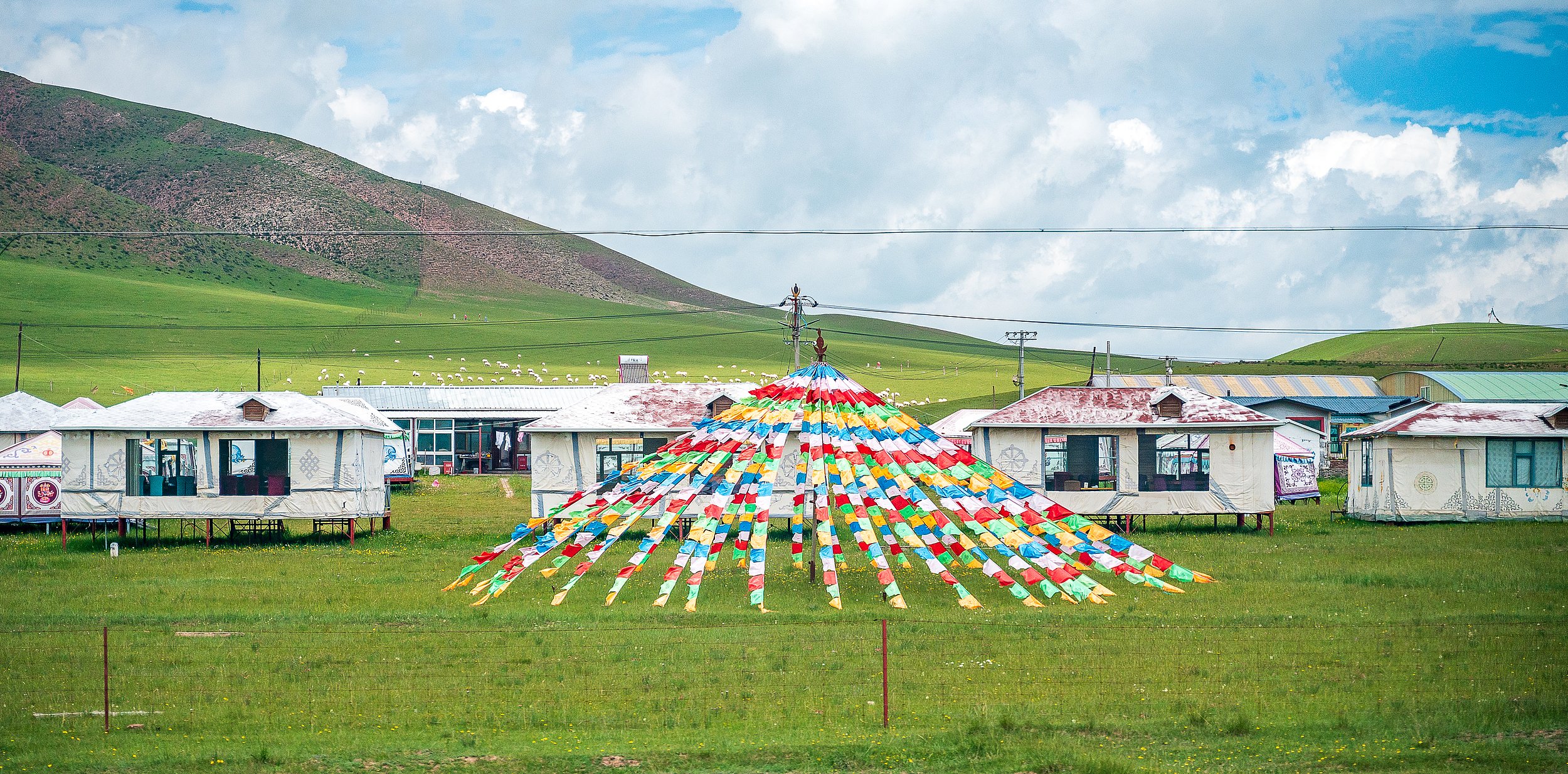 金银滩草原
