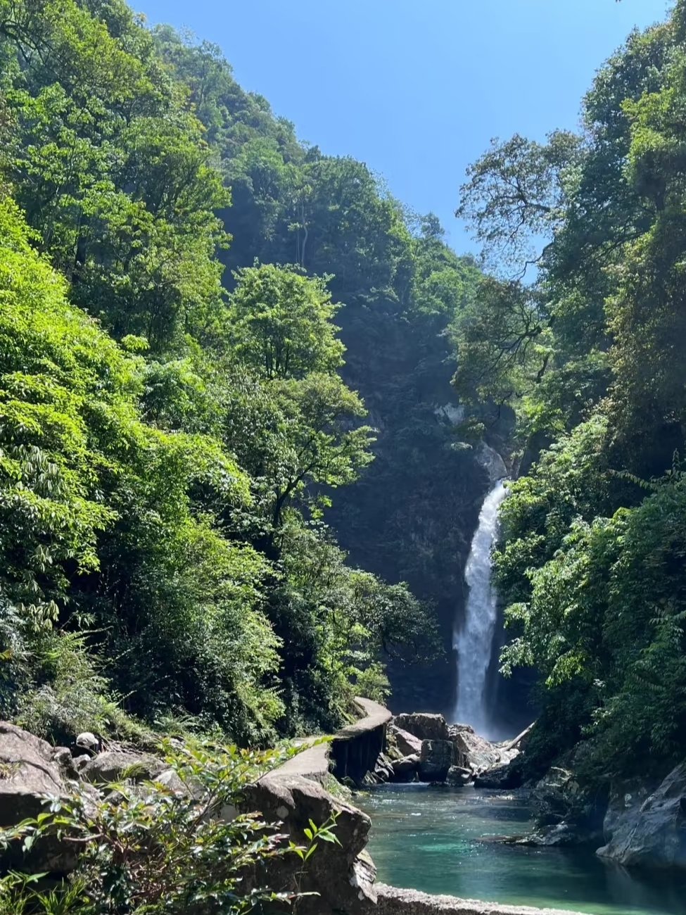 花坪自然保护区