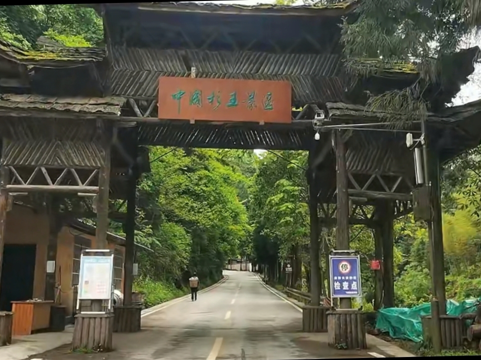 杉王景区