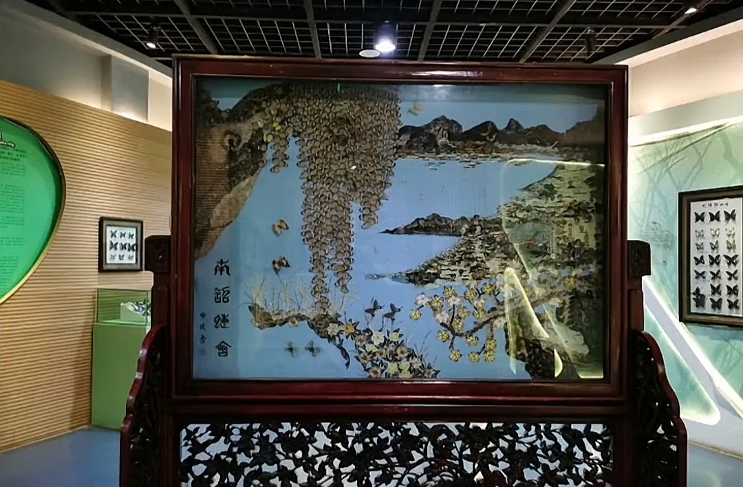 蝴蝶馆
