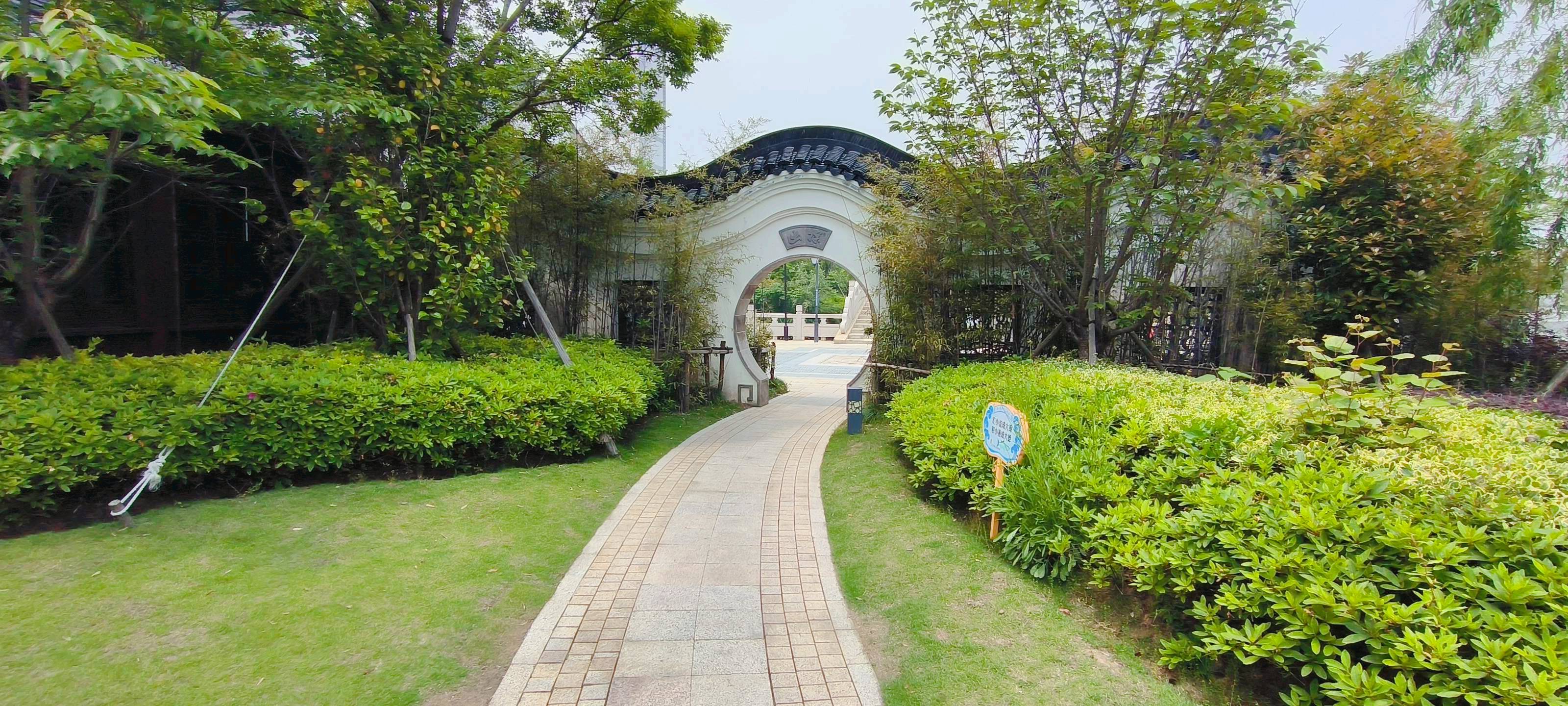 沈清园