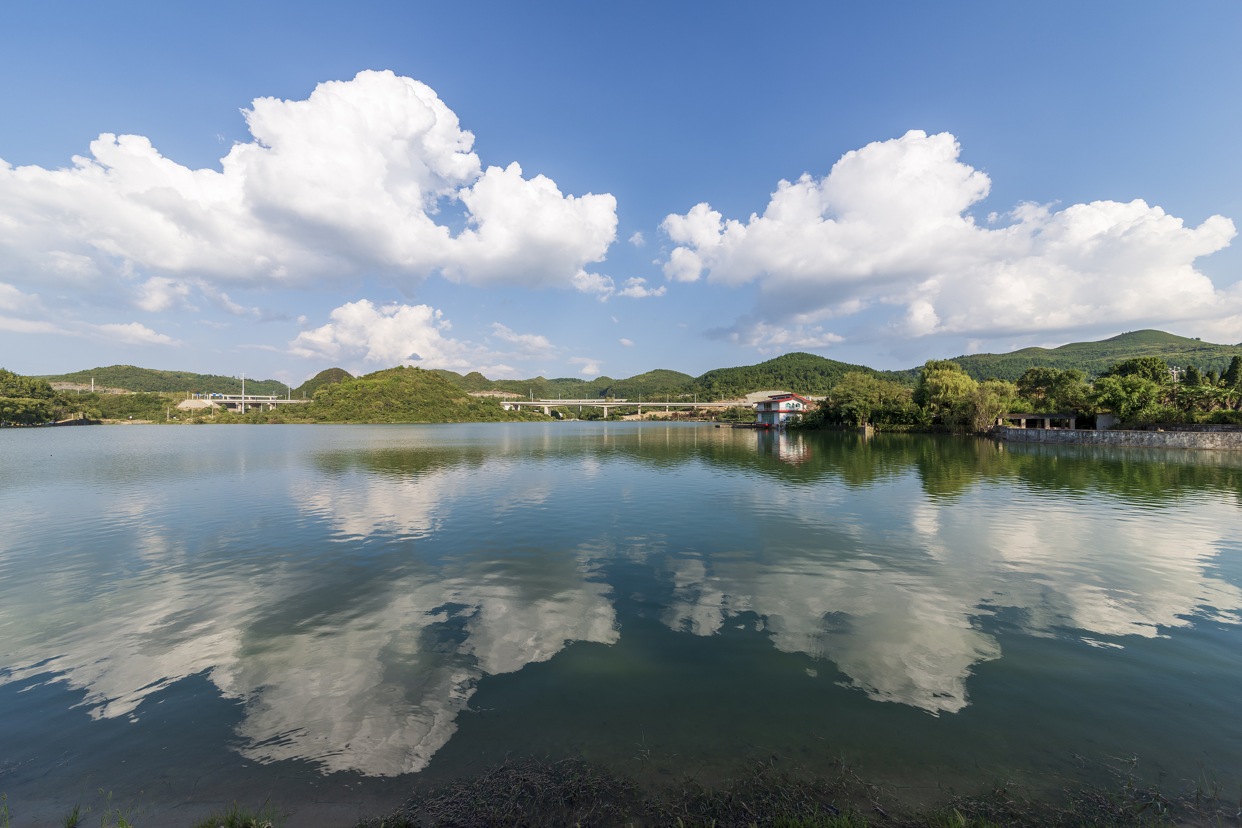 金翠湖