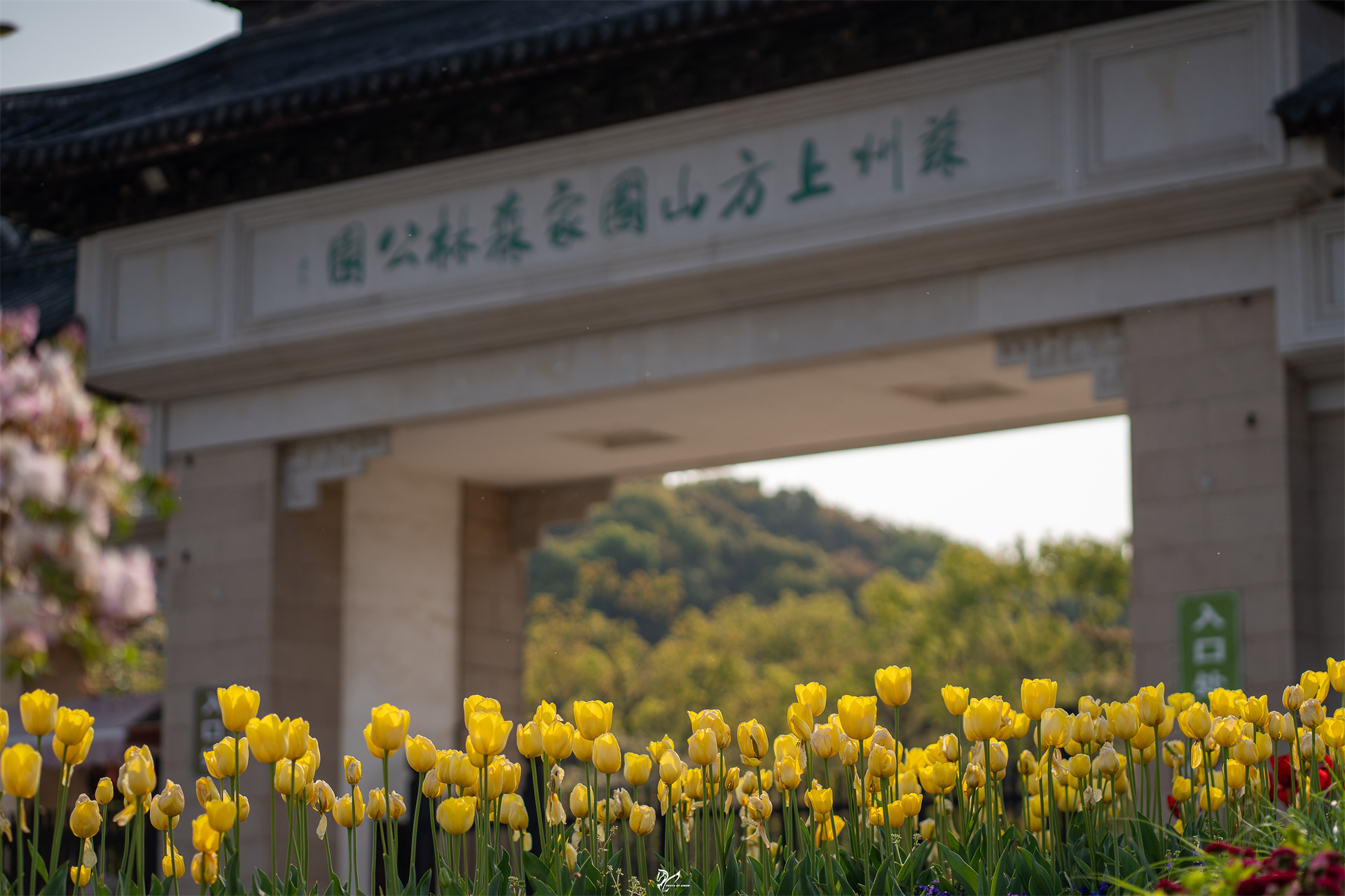 上方山国家森林公园