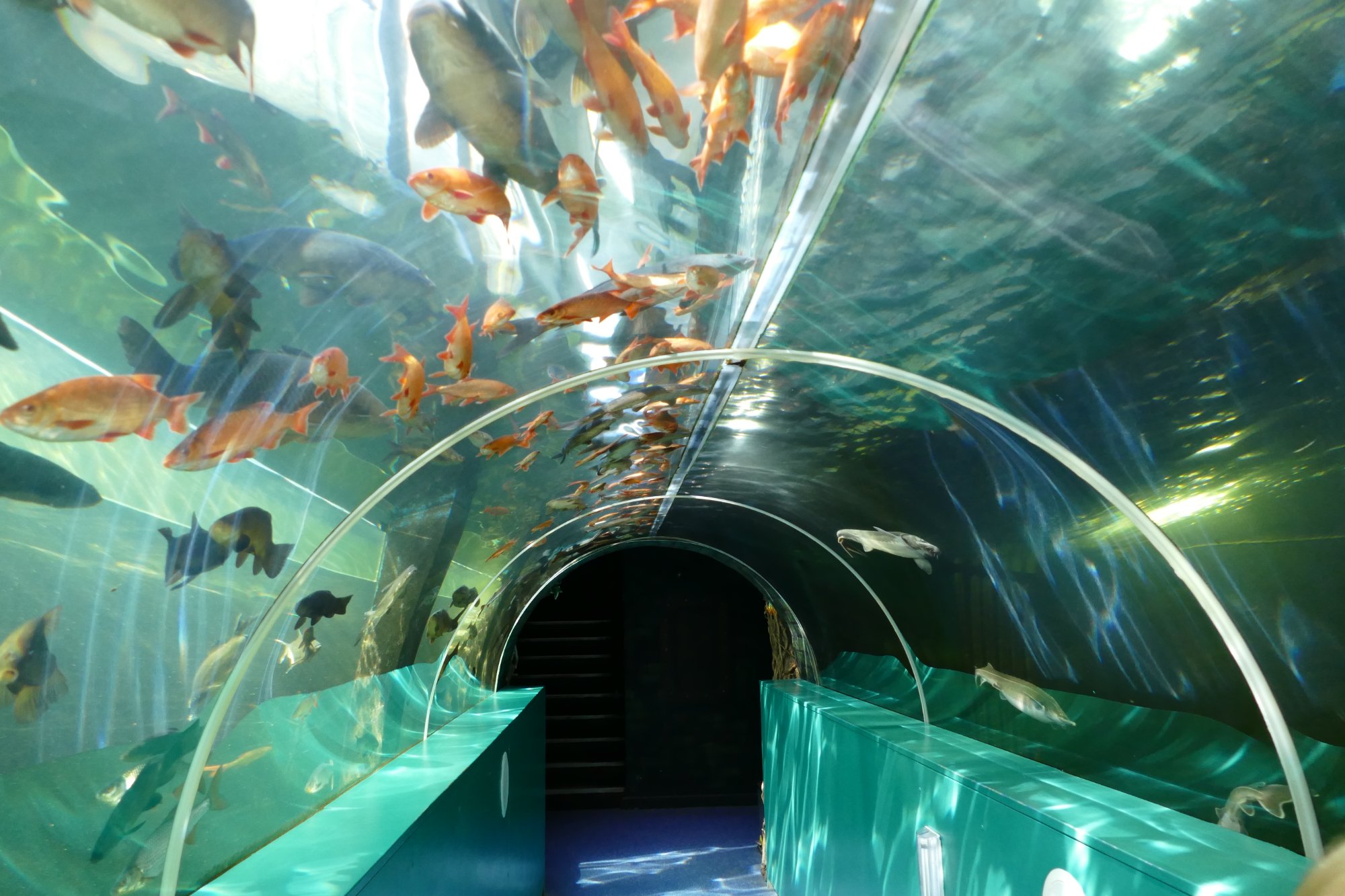 湖区水族馆