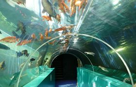 湖区水族馆