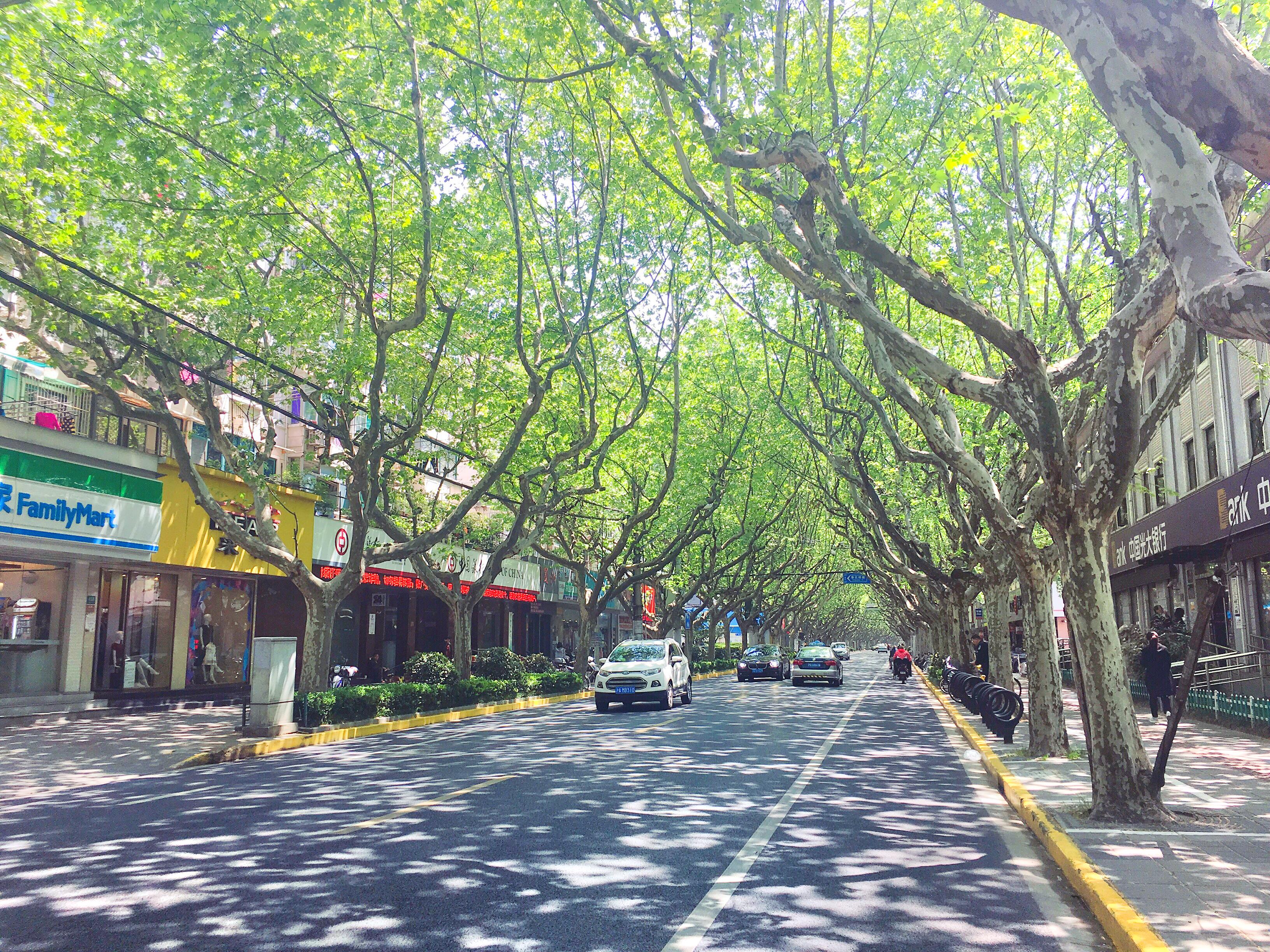 新华路