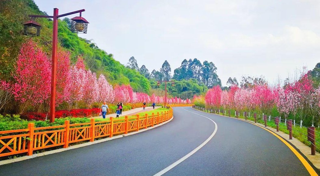 绿心路