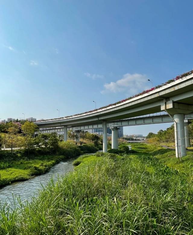 沙河公园