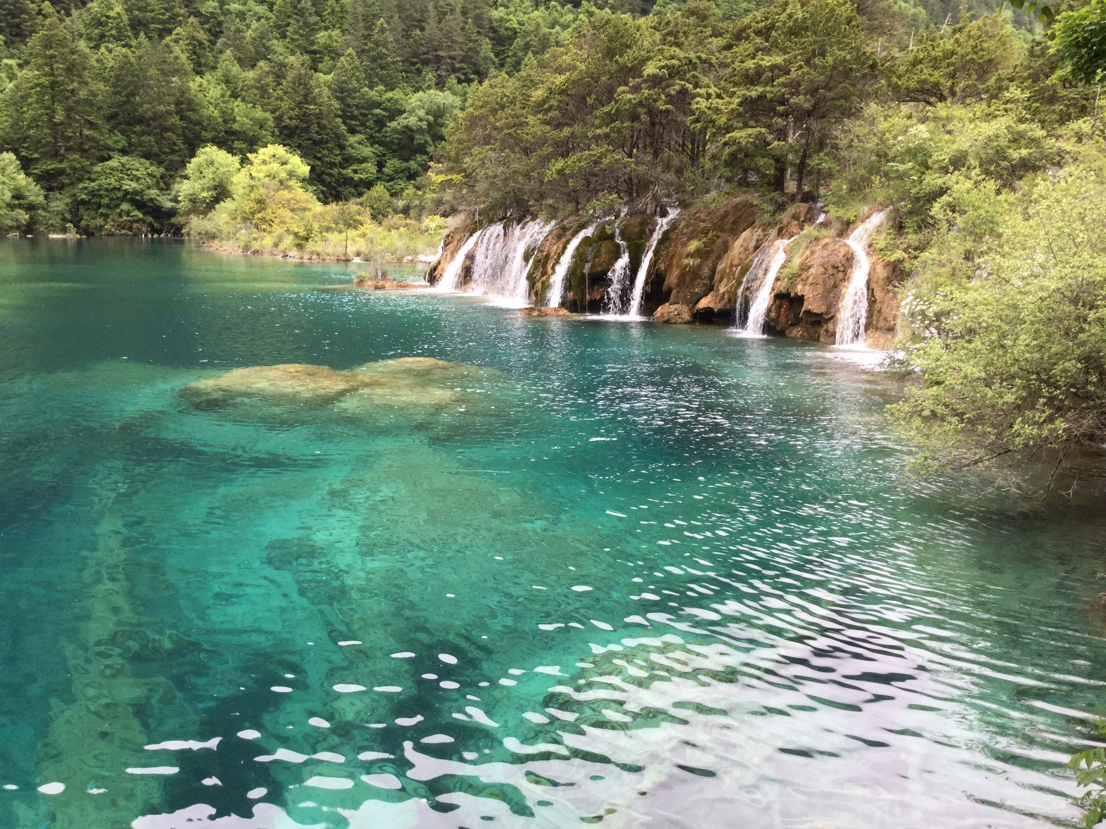 卧龙海