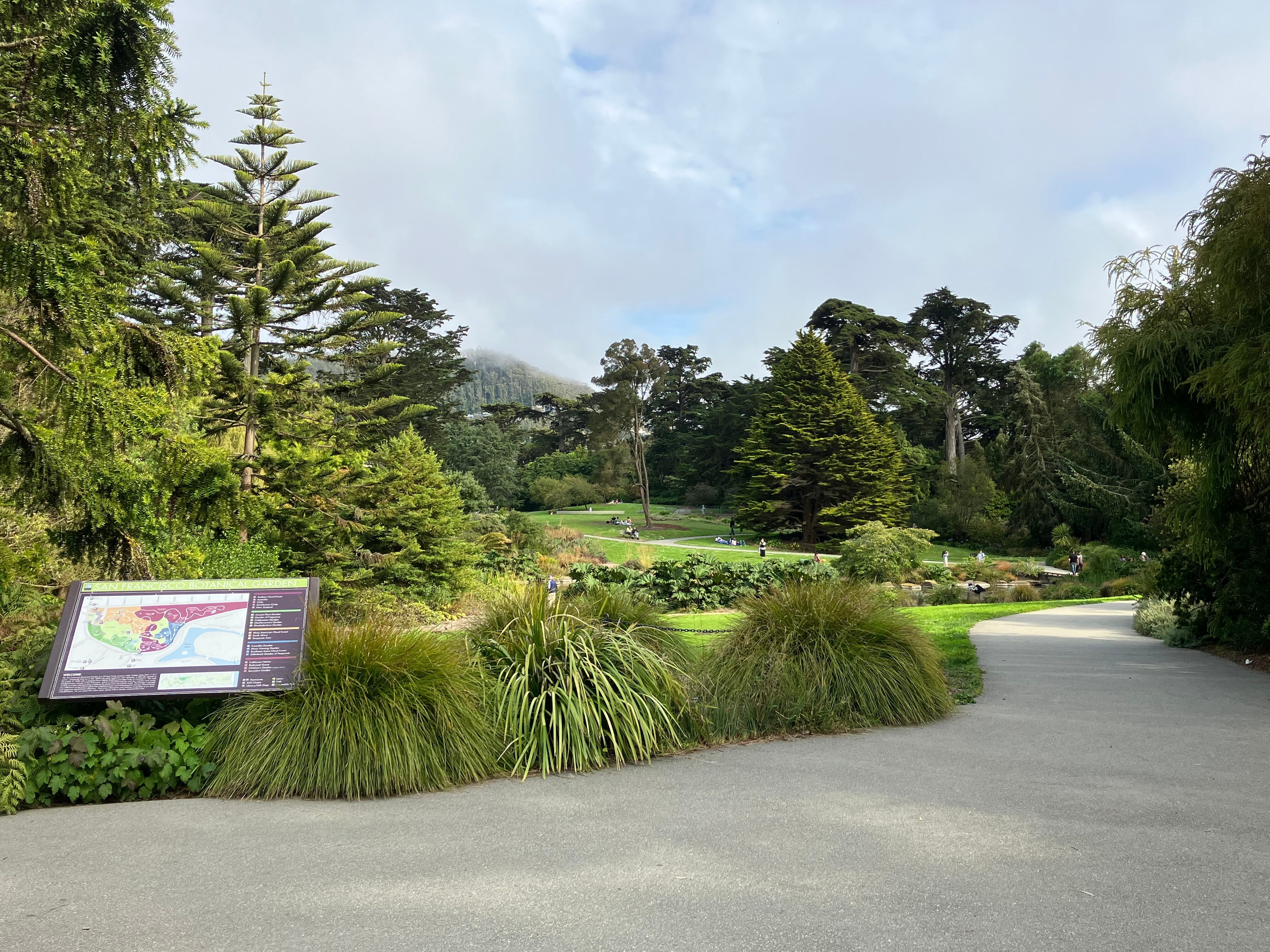 旧金山植物园