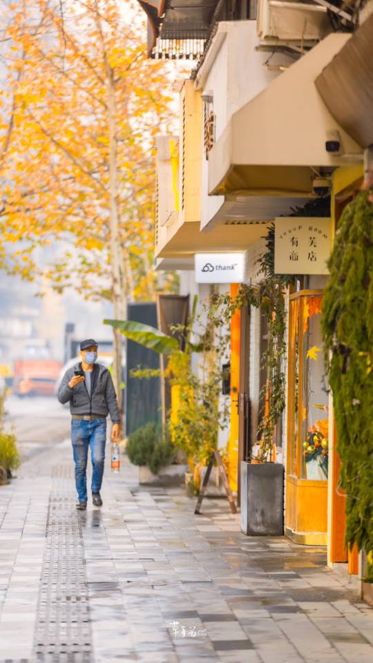 成都大学路