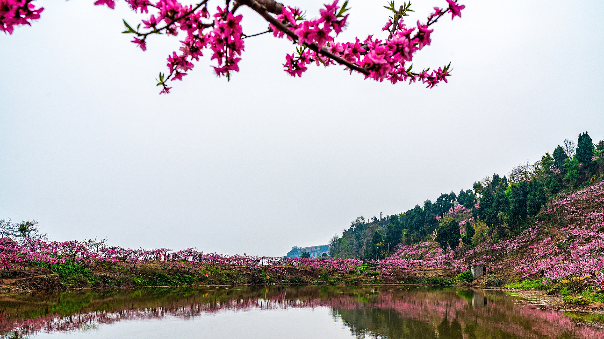 龙泉湖