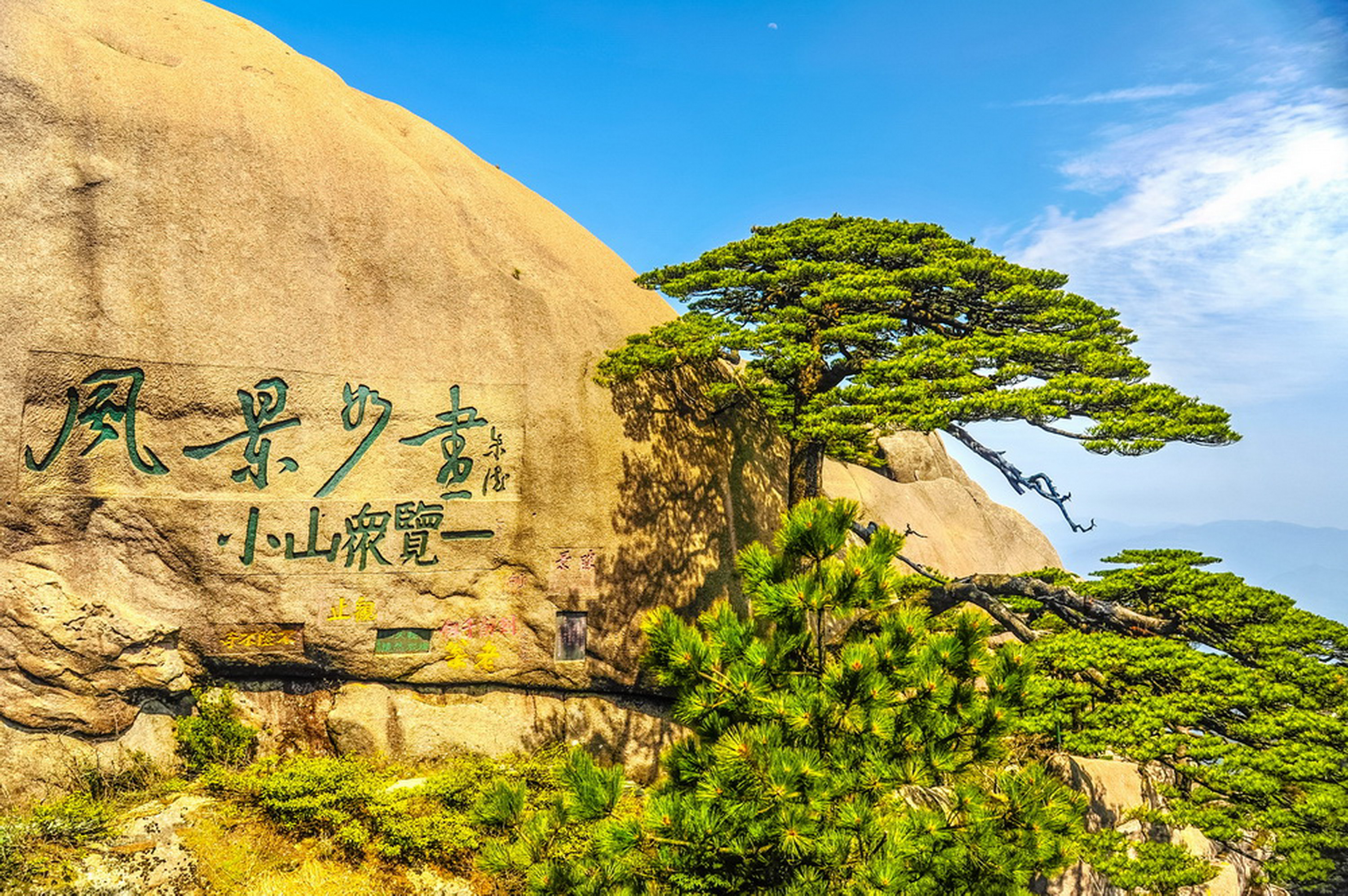迎客松