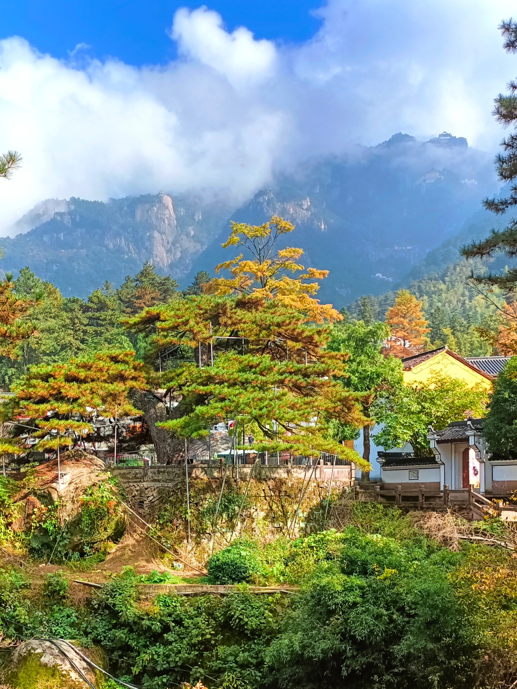 闵园尼庵