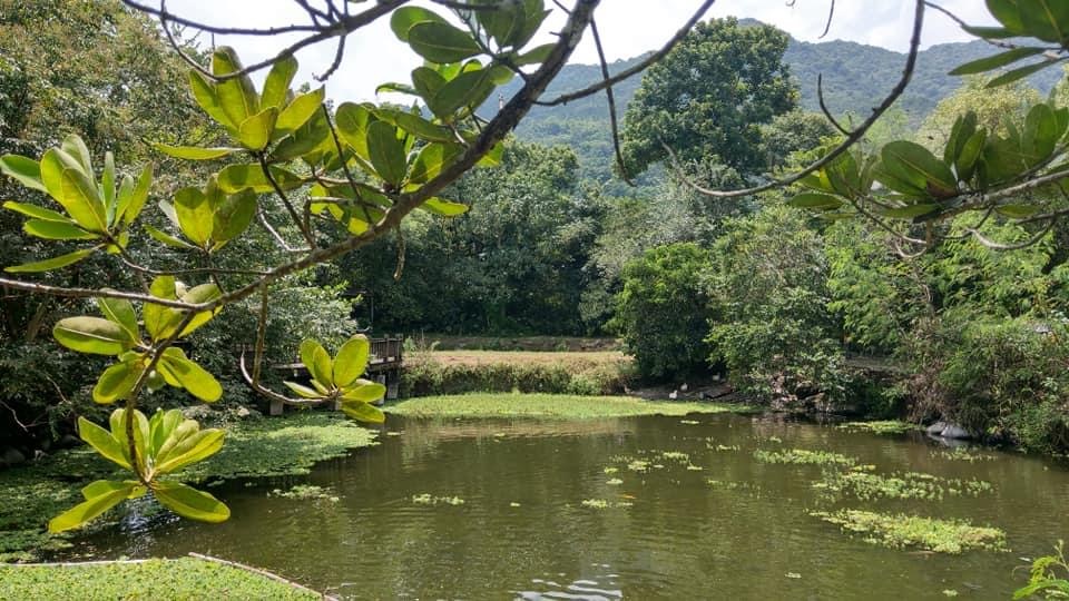 马太鞍