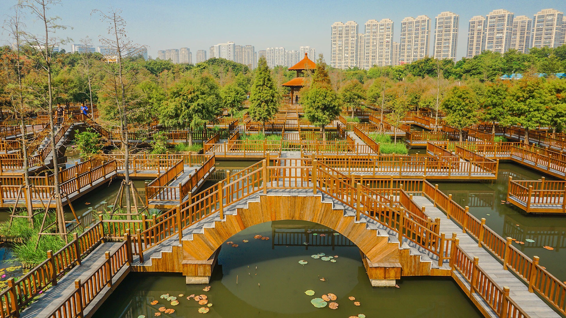 五缘湾湿地公园
